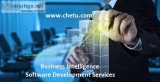 Business Intelligence Platform Services