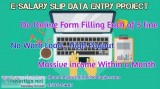 E-salary slip data entry