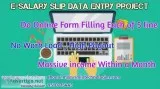 E-salary slip data entry