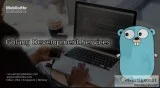 MERN Stack Development