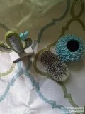 Pinto salt and pepper hedgehog baby