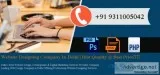 Ecommerce  website developer in delhi