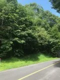 Lot 104 Chestnut Springs Section - Wintergreen Resort