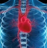 Best Kidney Transplant Hospital in Punjab  SPS Hospitals