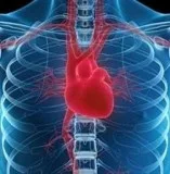 Best Kidney Transplant Hospital in Punjab  SPS Hospitals