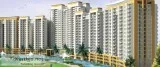 Gaur City Noida Extension with affordable price