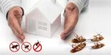 Pest control services in Pune