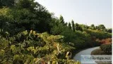 Tourism industry brings to you the best-in-class Holiday Package