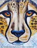Folsom Family Room 920 Cheetah