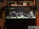 Tanks an stuff