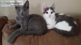 2 sisters