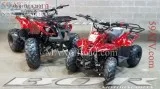 Kids 110cc ATV