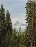 Beautiful Landscape