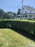 hedge trimming services