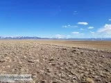 Live Your Best LifeGreat Value for a Great Lot 5 and 10 Acres