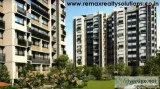 Best Real Estate Agent in Ahmedabad