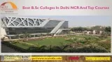 Best B.Sc Colleges In Delhi NCR And Top Courses