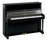 Digital or Acoustic Piano