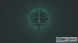 Midbrain Function Psychology
