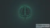 Midbrain Function Psychology