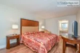 Rooms for Rent - Pet Friendly