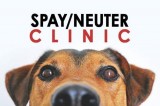 Leading Cat Spay  Dog Neuter Clinic in Mississauga