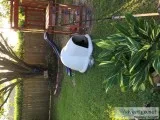 Dog kennels