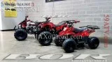 Kids ATVs