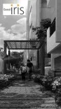 Want to purchase 2BHK apartment in Bommsandra Bangalore