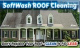 Professional Roof Cleaning and Pressure Washing Services