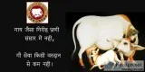 UMESHRAJ GO SEVA SANSTHAN