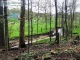 Mini Farm for sale