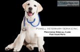 Providing Special Care For Your Pets