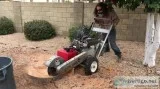 Stump Removal  Grinding Valley Wide (602)708-3522 Free Quotes