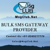 Seeking A Robust Bulk SMS Gateway Provider