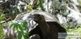 Best Vacation in Ecuador