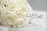 Wedding Icon best Destination Wedding Wedding Planners