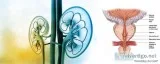 Get medically assisted treatment from urologist in West Delhi