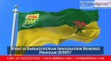What is Saskatchewan Immigration Nominee Program (SINP)