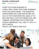 Become a Consultant