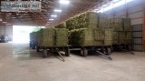 Small Squares Hay for Sale