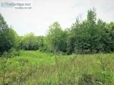 Estate Settlement Auction &ndash Incredible 91- Acre Farm