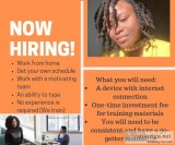5 positions available- Online Entrepreneur