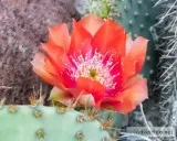 Sale at www.createartsy.com 