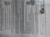 Bigmail orders