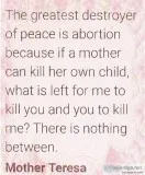 T-Shirt Mother Teresa Quote on Abortion