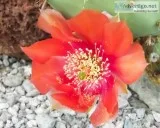50% Off sale at www.createartsy.com
