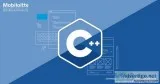 C Development Services
