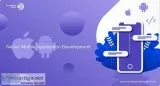 Native Mobile Application Development