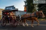 Carriage Business
